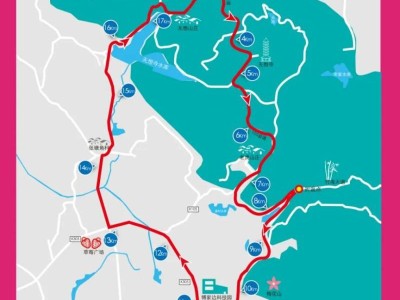 2025南京溧水半程马拉松交通管制公告