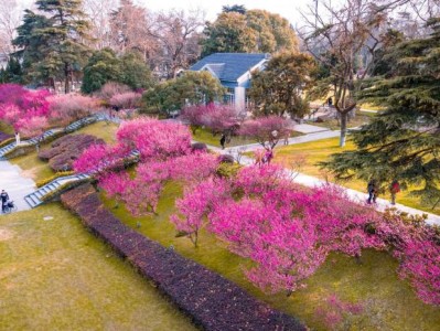 2025南京玄武湖百花闹春游园会赏花时间+活动安排