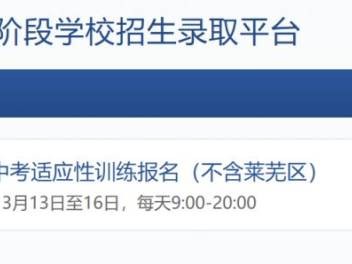 济南市高中阶段学校招生录取平台https://czxk.jnzk.net/