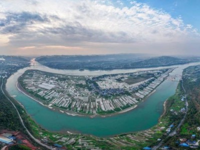 2025重庆巴南中坝岛蔬菜采摘节时间+地点+活动内容