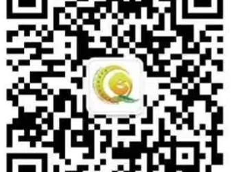 2025兰州市城关区东岗东路幼儿园秋季招生报名安排