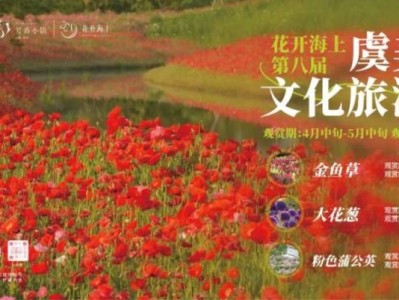 2025上海花开海上第八届虞美人文化旅游节(时间+地点+门票+交通)