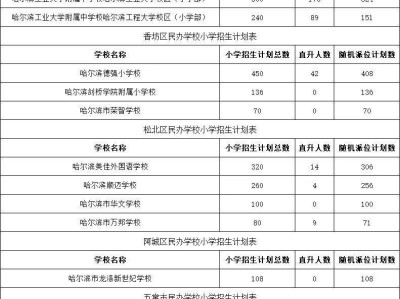 2025年哈尔滨市民办义务教育学校招生计划