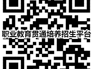 2025年河南五年一贯制“3+2”分段制高职招生录取结果怎么查？
