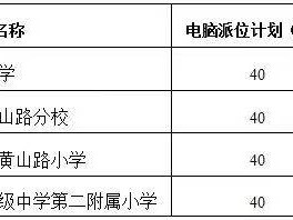 2025南京建邺区热点公办小学摇号政策