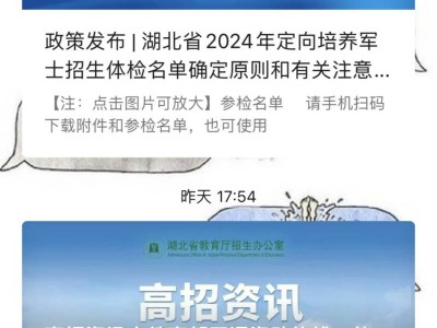 2025湖北高考录取结果在哪查询？（附官网入口）