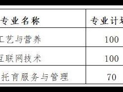 2025襄阳科技职业学院单招报考指南