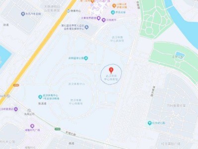 2025王力宏武汉演唱会活动攻略（购票+观演）