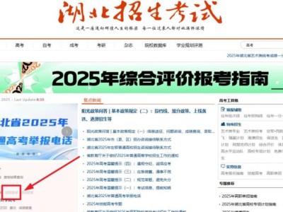 2025湖北招生考试网高考成绩怎么查？附时间及流程