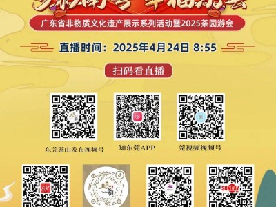 2025东莞茶园游会祈福大巡游直播观看指南(时间+入口)