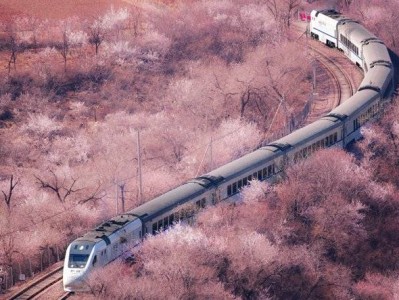 北京市郊铁路S2线春日赏花攻略(观赏期+打卡地)