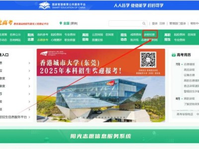 阳光高考网录取查询入口官网(https://gaokao.chsi.com.cn/ )
