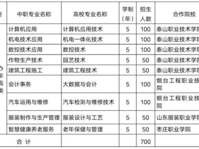 2025泰安市岱岳区职业中等专业学校招生计划
