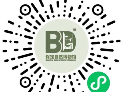2025年保定自然博物馆预约攻略(时间+入口)