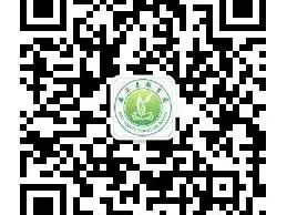 2025年泉州安溪城区小学怎么报名？