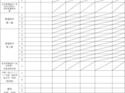 惠州中考志愿表格式图片