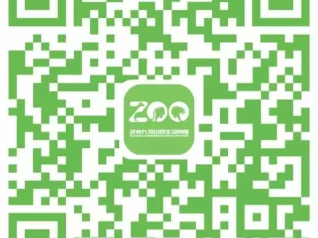 2025年徐州九顶山野生动物园高考生优惠政策