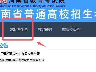 河南省普通高校招生考生服务平台考生号忘了怎么办?
