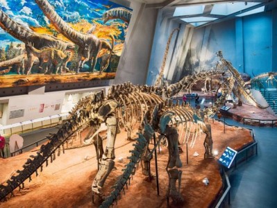 2025重庆自然博物馆开放时间最新