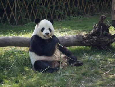 2025重庆动物园六一儿童节免费时间+游玩攻略