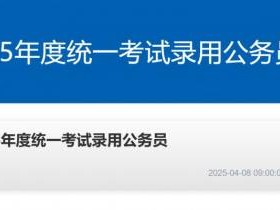 2025河南省考成绩开始查了吗（附查询官网）