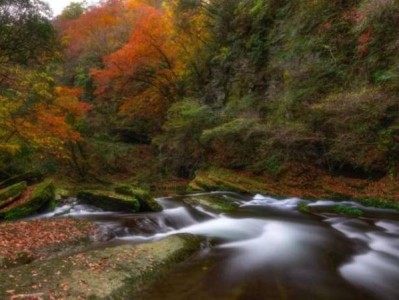 2025南京乡村游玩路线推荐时间+地点+内容