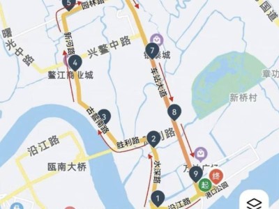 2025温州平阳鳌江二月二划大龙活动(时间+路线)