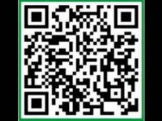 2025廉江市实验学校自主招生计划