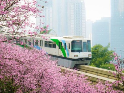 2025重庆开往春天的列车几月份最佳时间