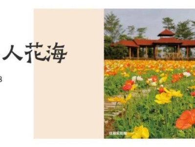 2025厦门元宵节花展攻略(时间+地点+预约+路线)
