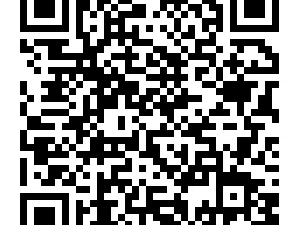 2025芜湖中考成绩查询时间