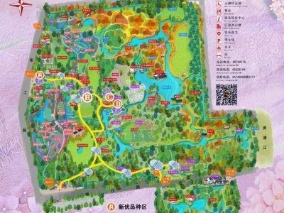 2025上海共青森林公园八仙花展攻略(时间+地址+门票）