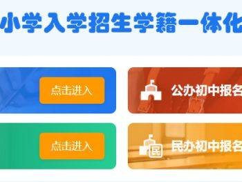武汉入学招生平台官网登录网址https://zsrx.whebd.cn