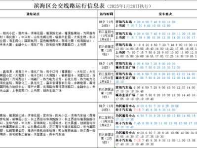 2025年潍坊滨海区春节期间公交运行安排