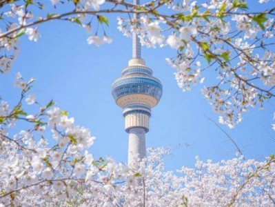 2024年北京玉渊潭公园春季花展时间+门票