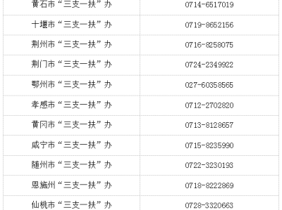 2024湖北三支一扶高校毕业生招募公告