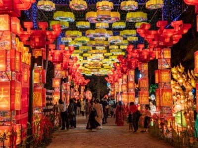 2025深圳元宵节灯会优惠门票+购票入口+时间+地点