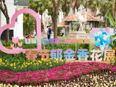 厦门园博苑郁金香花海打卡指南(时间+地点+门票+亮点)