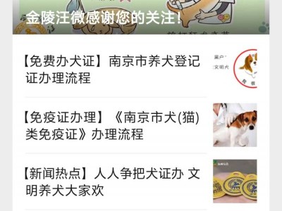 南京办理狗证要多久