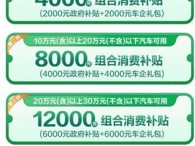 合肥经开区2025第一轮汽车消费券补贴活动时间+金额