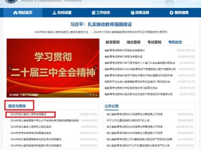 湖北省教育考试院成人高考成绩查询www.hbea.edu.cn