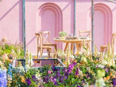 深圳17个赏花去处 一年四季都可赏花