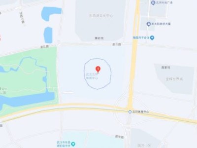 武汉林忆莲演唱会时间+地点+交通路线2025