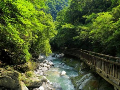 2025重庆三八妇女节门票免费活动汇总(时间+景点名单)