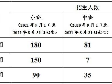 2025东莞望牛墩镇公办幼儿园招生方案