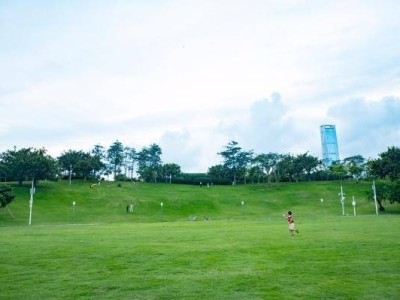 深圳湾公园看日出的最佳地点