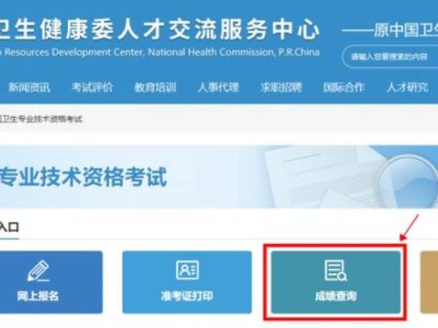 2025年卫生专业技术资格考试成绩查询网站及流程