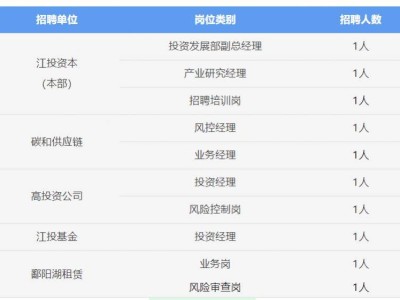 2025江西江投资本有限公司招聘公告(时间+岗位+流程)