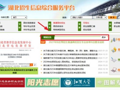 湖北招生信息综合服务平台https://zsxxw.e21.cn