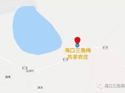 2025海口春节三角梅共享农庄村晚活动(时间+地点+活动)